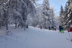 20230130_095936-scaled