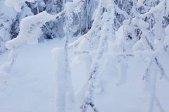 20230130_100640-scaled