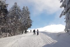 20230130_103423-scaled