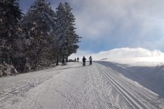 20230130_103436-scaled