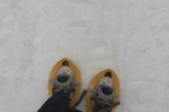 20230131_150536-Copie-scaled