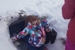 20230131_161828-Copie-scaled