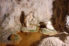 20230201_151614-scaled